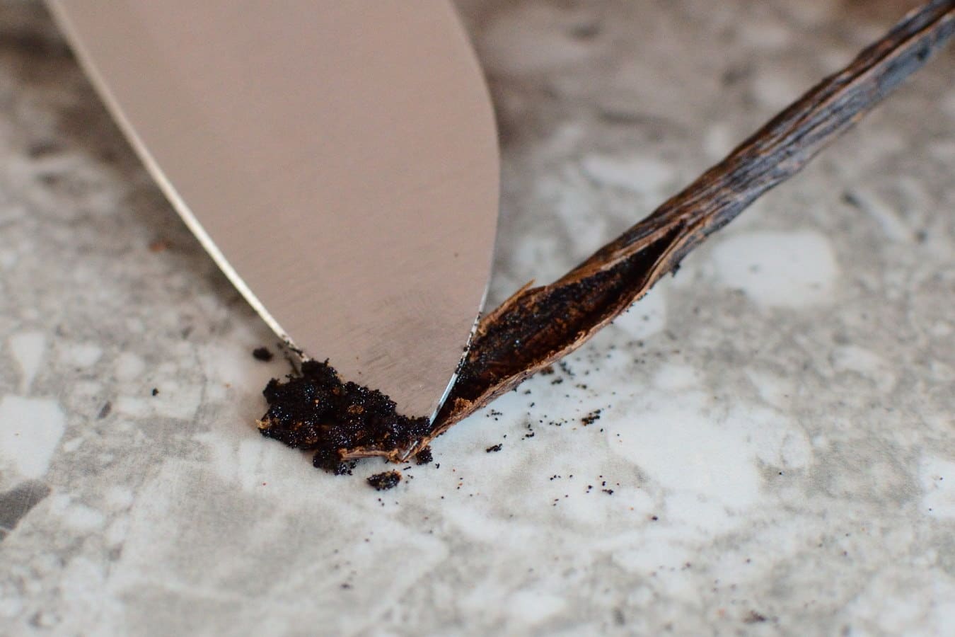 Vanilla bean out of the pod