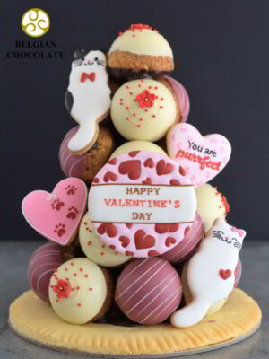 Valentine Special 2 (22pcs)