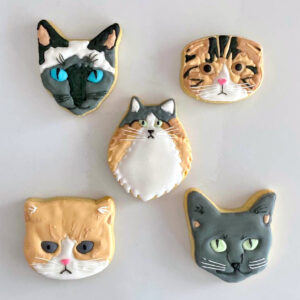 Exotic Cat Cookie Sets